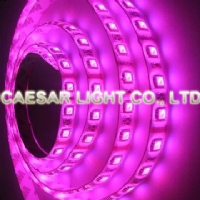 Moistureproof 300pcs 5050 RGB LED Strip