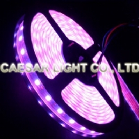 Waterproof 300pcs RGB LED Strip